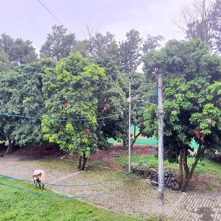 Nature View Homestay Dehradun Zewnętrze zdjęcie